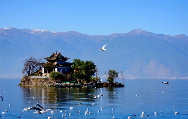 Shuanglong Ancient Town: A Carefree Journey from Erhai Fishing Village to the Art Peninsula-4