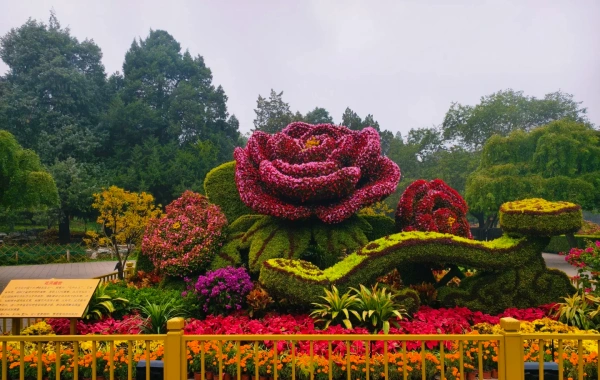Parque Jingshan: El eje central de la vena de dragón con vistas a la cumbre de la Ciudad Prohibida-3