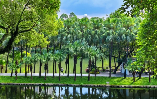 Parc Yuexiu: Une promenade millénaire de Nanyue Wangtai au coeur vert de Yangcheng