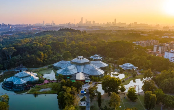 جنوب الصين الحديقة: ملحمية نابضة بالحياة من تطور النباتات ورحلة إلى واحة حضرية-2