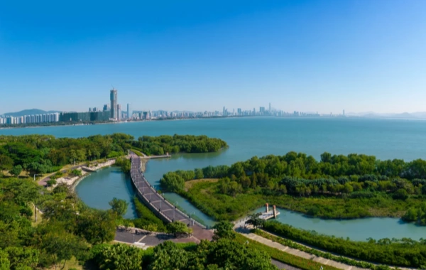 Shenzhen Bay Park: Eine Transformation von küstennahen Mudflats zum urbanen grünen Herzen-2
