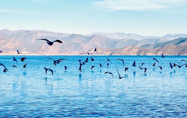 Lugu Lake: From the Secret Land of Mosuo to the Spiritual Dwelling of Daughter Countr