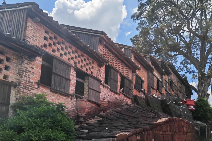 Nanfeng Ancient Kiln: A Legendary Journey Through Five Hundred Years of Unextinguished Fire in a Dragon Kiln-3