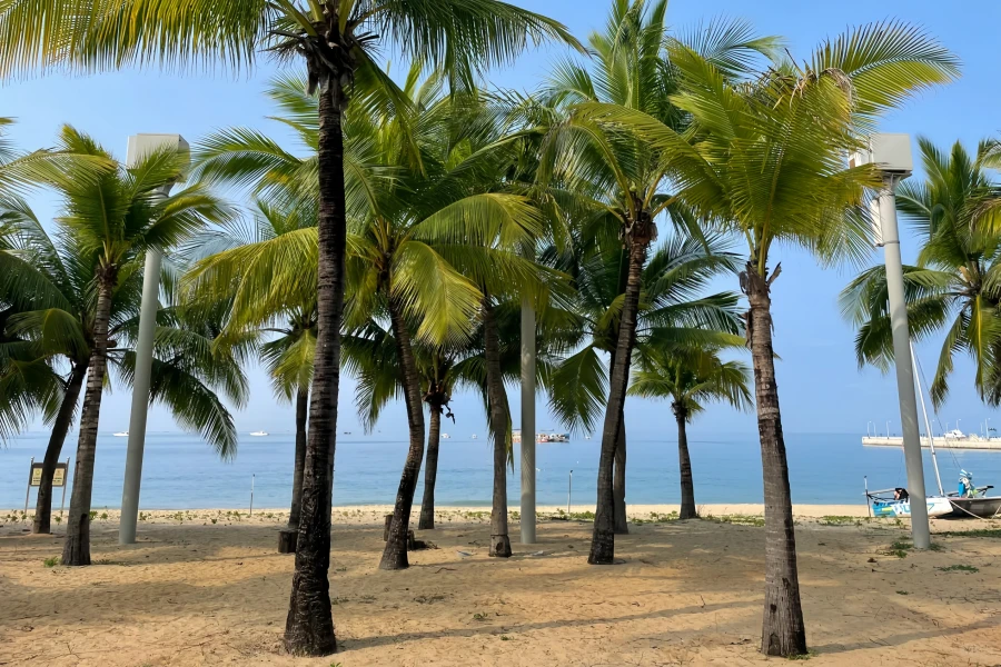 天屋俳句:中国本土の最南端のポイントへのロマンチックな旅-2