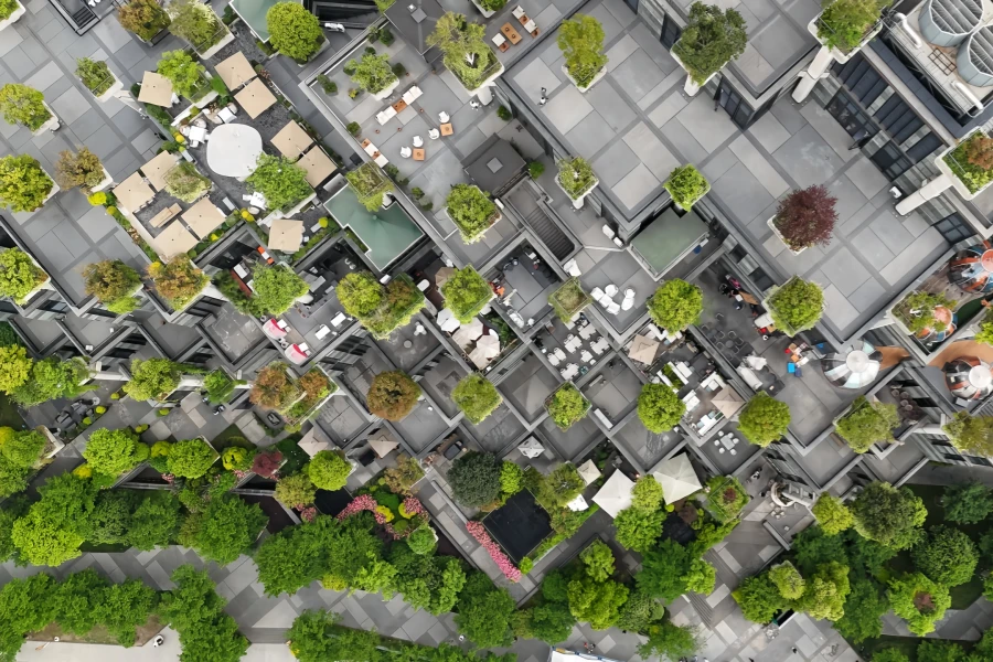 Shanghai Tianan Thousand Trees: A Journey Through a 