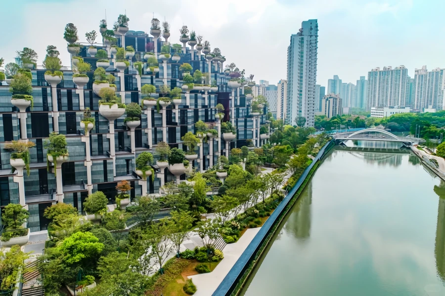 Shanghai Tianan Thousand Trees: A Journey Through a 