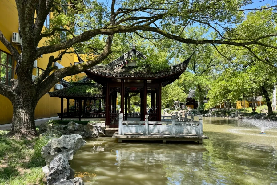 Shouan Temple: A Journey Blessed by the Millennium-Old Ginkgo Trees on Chongming Island-2