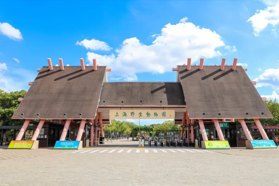 Shanghai Wild Animal Park: Un viaje de exploración de Oasis Urbanas al Reino Natural-2