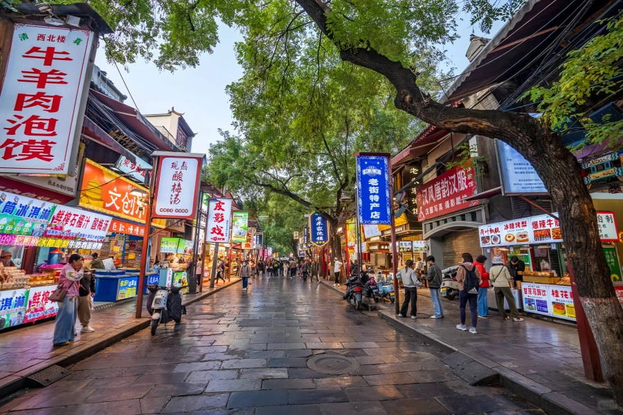 Muslim Quarter: A Journey Through the Vibrant Life of Chang'an Through a Thousand Years of Street Life-2