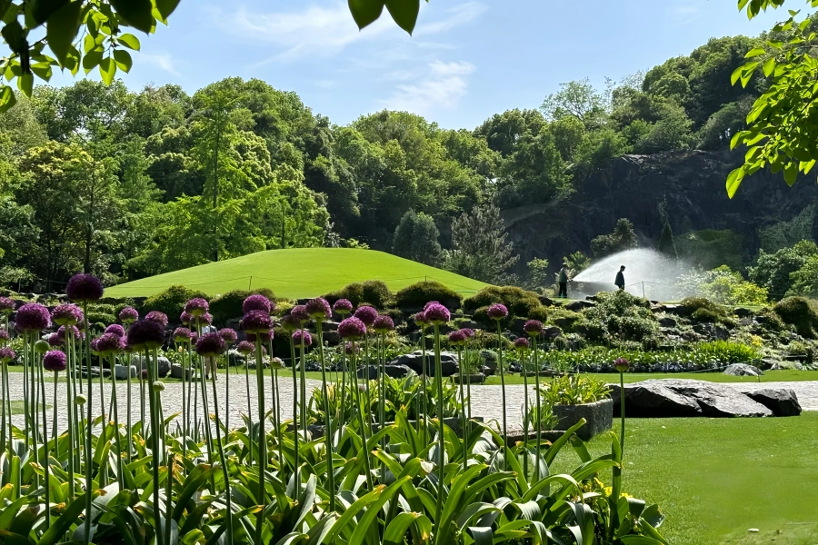 Chenshan Botanical Jardín: Un viaje de renacimiento verde de la mina abandonada al santuario ecológico
