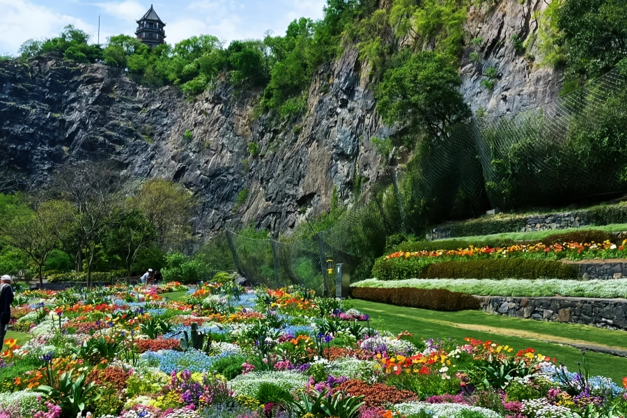 Chenshan Botanical Jardín: Un viaje de renacimiento verde de la mina abandonada al santuario ecológico-2