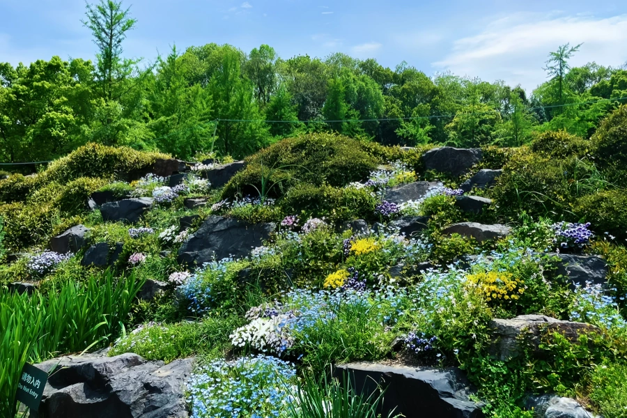 Chenshan Botanical Jardín: Un viaje de renacimiento verde de la mina abandonada al santuario ecológico-3