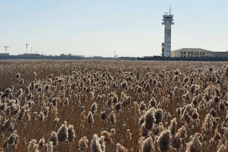 Paotaiwan Wetland Forest Park: A Rebirth Journey from River Defense Fort to Urban Green Lung-3
