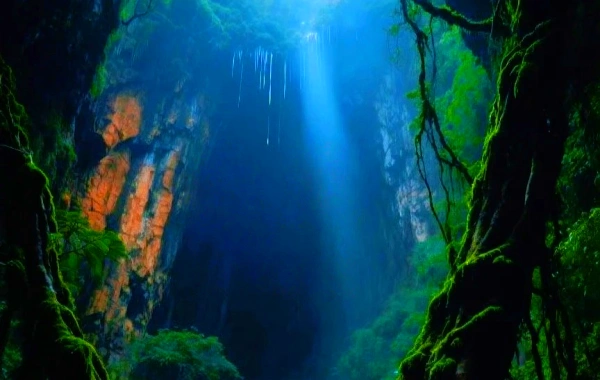 Maolan National Nature Reserve: An Expedition to the Primordial Karst Forest-2