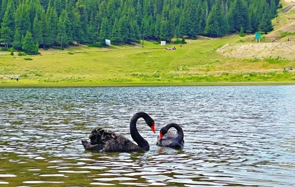 Tianshan Gran Cañón: Un Santuario Pastoral y Museo Natural a los pies de las montañas Tianshan-3