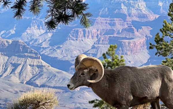 Tianshan Gran Cañón: Un Santuario Pastoral y Museo Natural a los pies de las montañas Tianshan-4