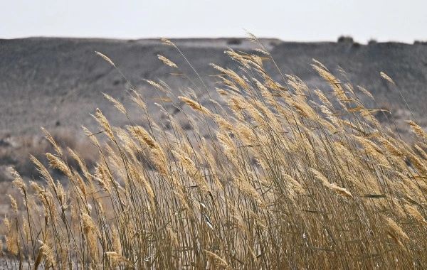 Yumenguan Pass: A Journey Through Two Thousand Years of Frontier Poetry and Vigilance-4