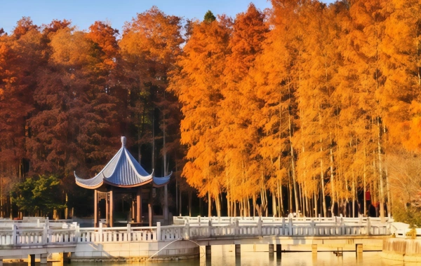 Fuzhou National Forest Park:A Green Lung in the City and a Natural Epic of the Millennium Banyan King-3