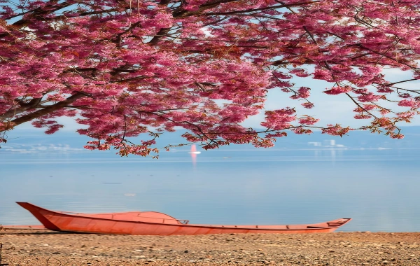 フクシアン湖:水中の古代都市と青の聖域を発見するエコロジーの旅-4