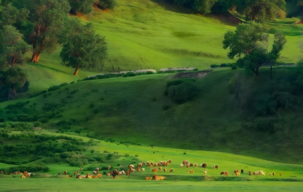 Ulan Butong Grassland : 시네마틱 여행 - 유럽 스타일 풍경과 유명한 영화 위치-4