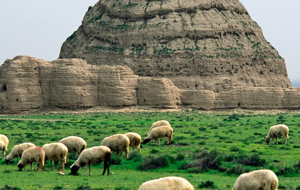 Western Xia Tombs: The Mysterious Echoes of a Vanished Dynasty-3