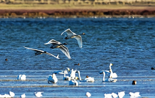 Yulong 모래 호수 : Prehistoric 