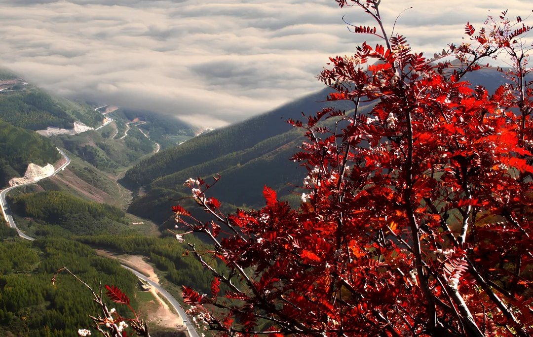 Liupanshan: A Journey into a Northwest Sanctuary Where Green and Red Intertwine-3