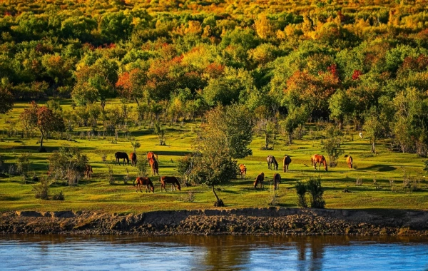 من (أجورني) إلى (أزيا) رئيس (وايتلاند)