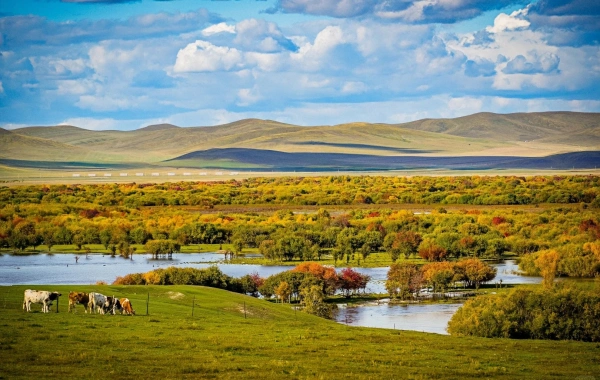 من (أجورني) إلى (أزيا) رئيس (وايتلاند)-3