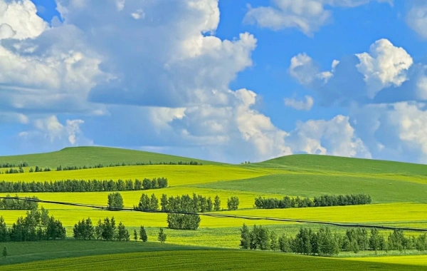 Hulunbuir Grassland:A Journey to the