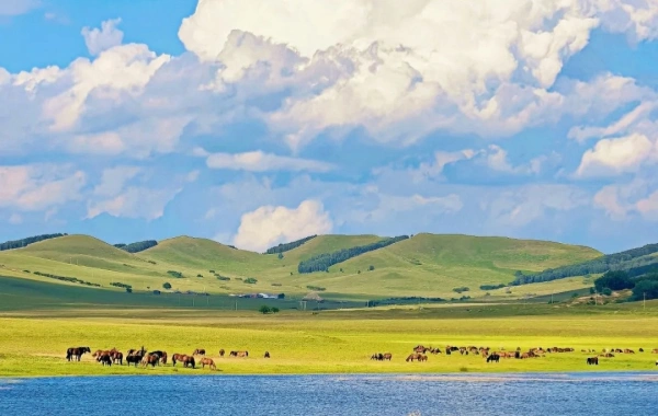 Hulunbuir Grassland:A Journey to the