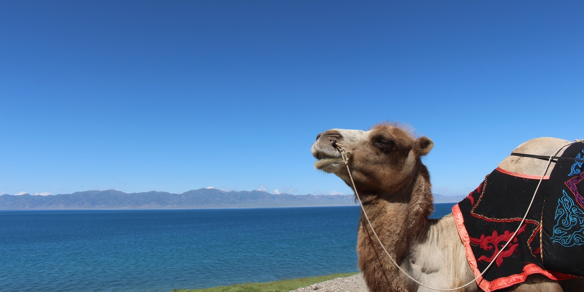 Xinjiang's Top 10 Must-Do Travel Activities