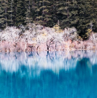 China Landscape and Cultural Tour