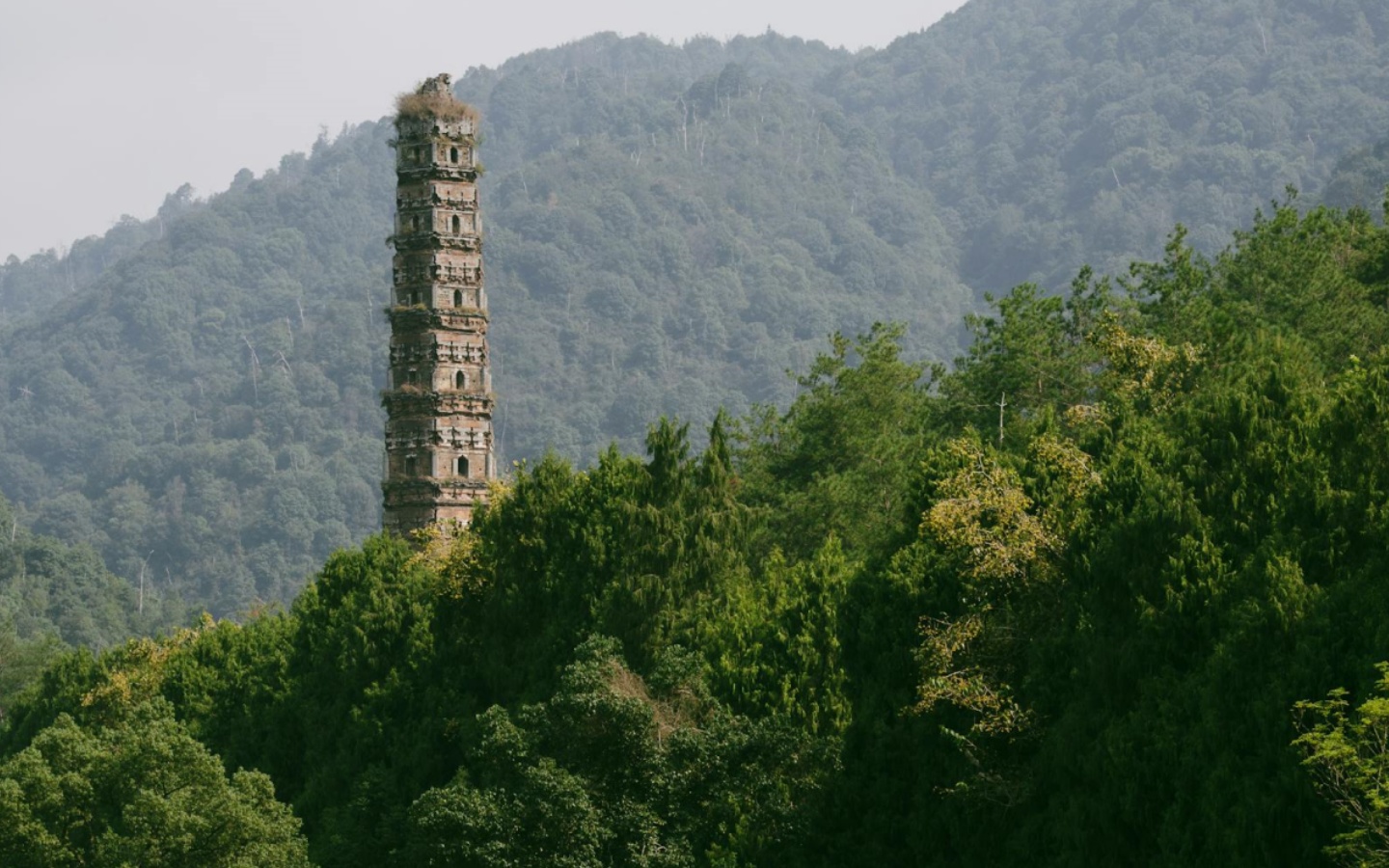 Day 6: Nanjing Departure