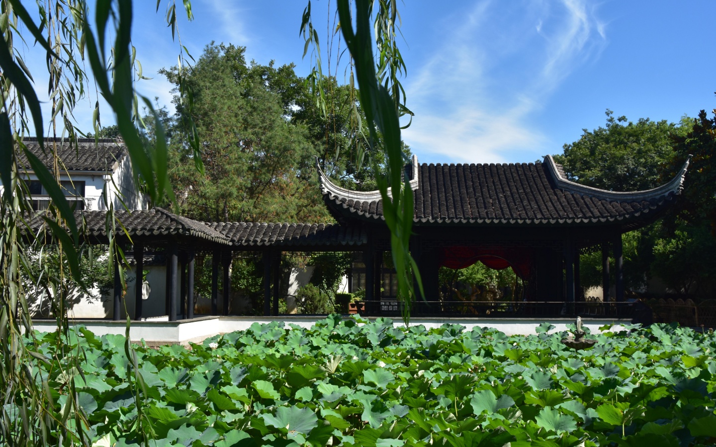 Day 3：Xitang-Suzhou