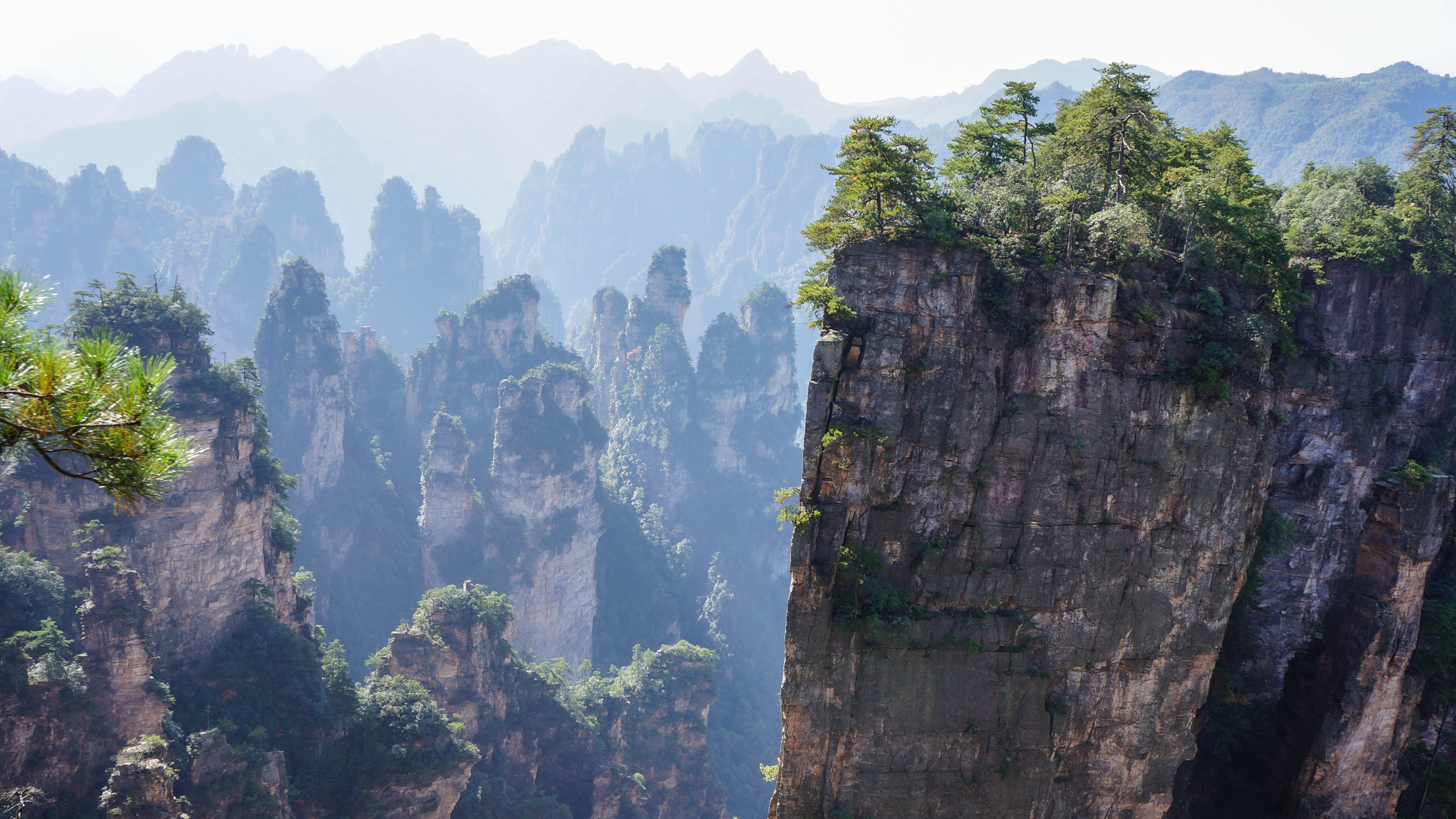Day 3: Zhangjiajie National Forest Park