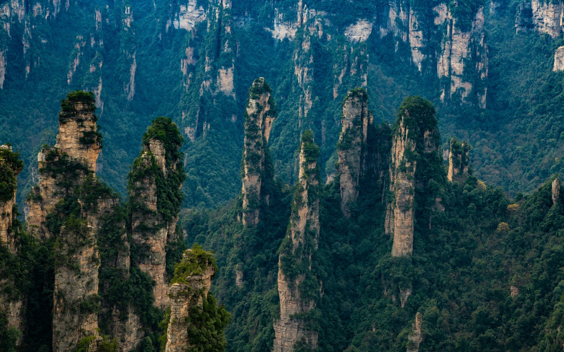 Day 1: Zhangjiajie Arrival