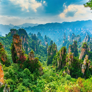 11 Days Beijing Xi'an Zhangjiajie Shanghai Group Tour