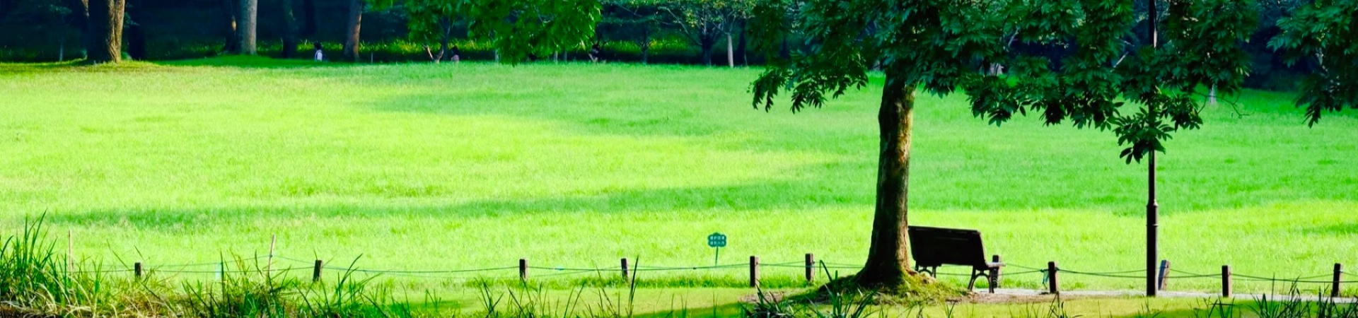 Top 5 de Hangzhou Délices : un voyage gastronomique à travers l'âme culinaire de la ville