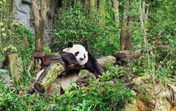 5 Days Zhangjiajie Tour