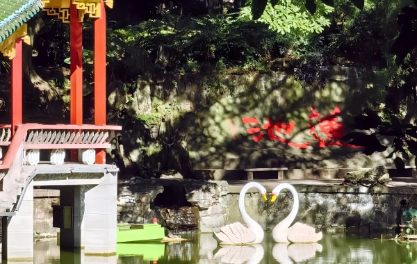 Парк Элинг: путешествие по вековому саду и панорамный вид на две реки с саммита на полуострове Чунцин