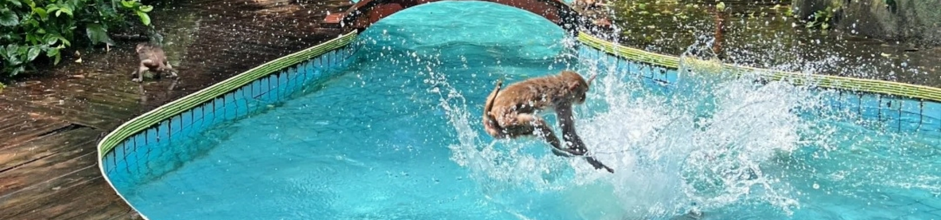 Nanwan Monkey Island Eco-Tourism Zone