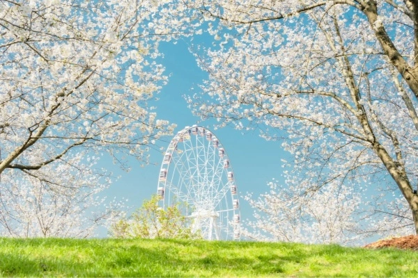 Day 8: Shanghai Departure