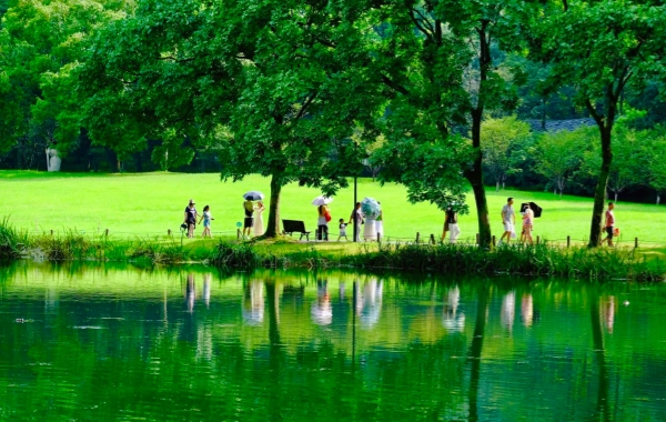 Day 3: Shanghai - Hangzhou