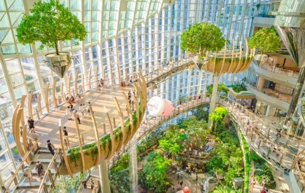 Day 7: Chongqing Departure