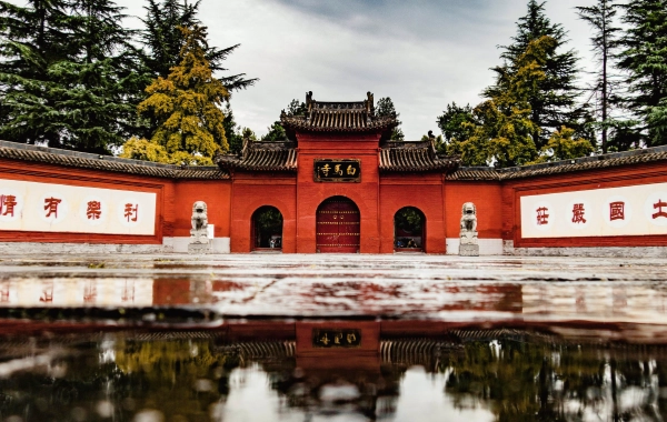 Day 3: Shanghai - Luoyang