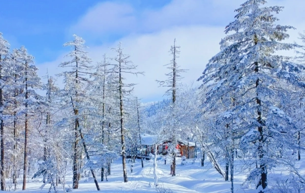  День 7: Харбин в Снежный город