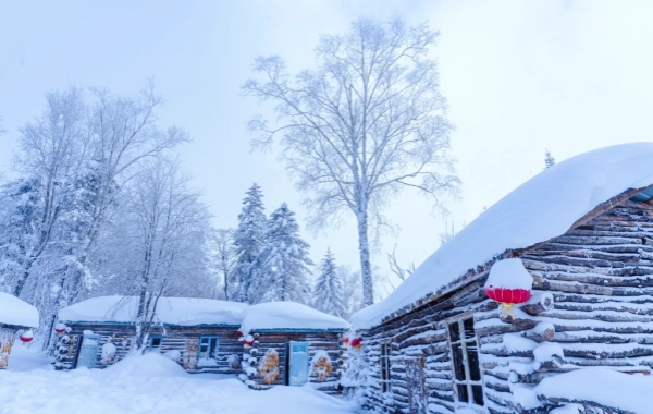  День 7: Харбин в Снежный город