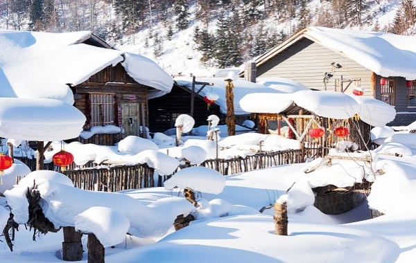 День 8: Снежный городок в Ябули