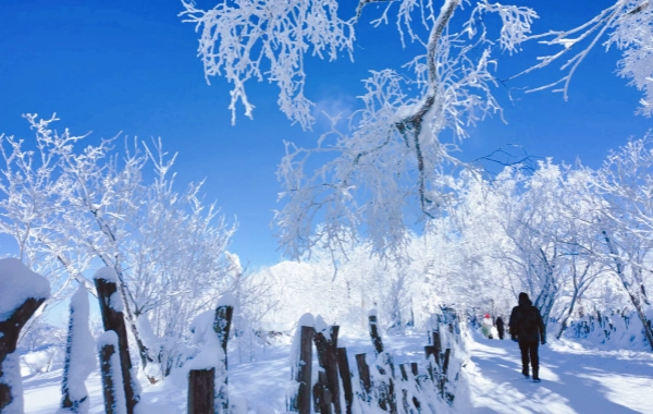 День 8: Снежный городок в Ябули